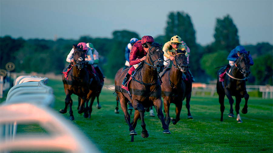 How to bet on horse racing and boat racing with Sticpay